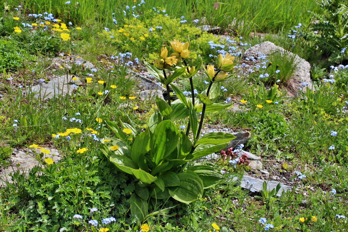 2014_07_23_00003744p_Bildgr��e �ndern