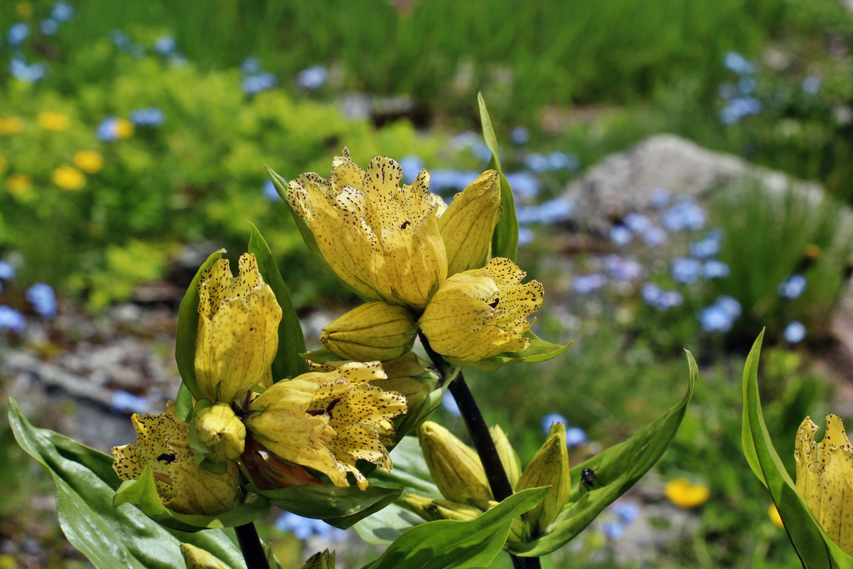 2014_07_23_00003747p_Bildgr��e �ndern