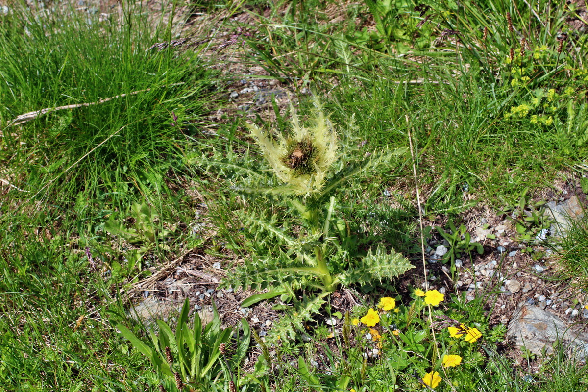 2014_07_23_00003754p_Bildgr��e �ndern