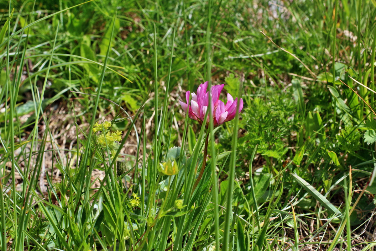 2014_07_23_00003756p_Bildgr��e �ndern