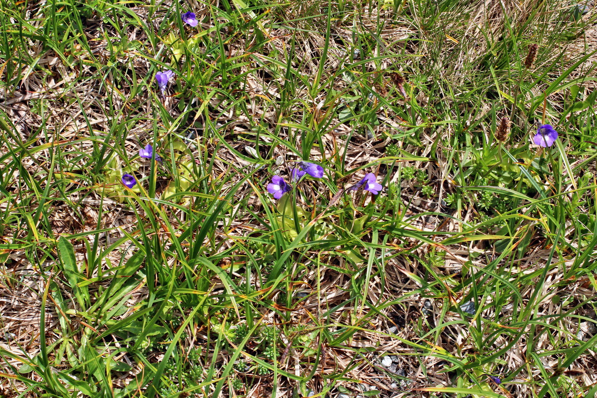 2014_07_23_00003759p_Bildgr��e �ndern