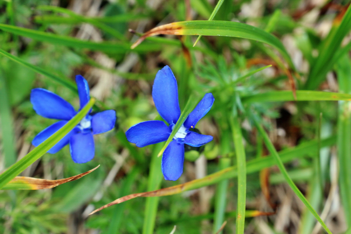 2014_07_23_00003768p_Bildgr��e �ndern