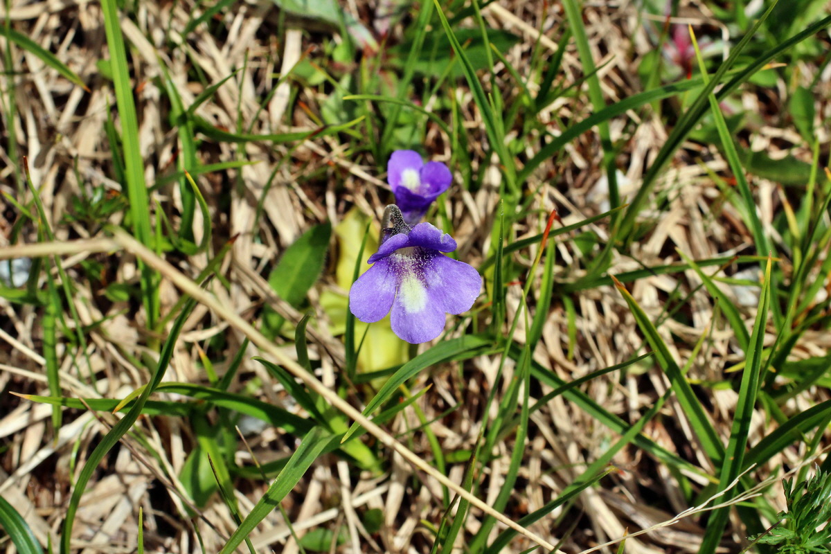 2014_07_23_00003770p_Bildgr��e �ndern