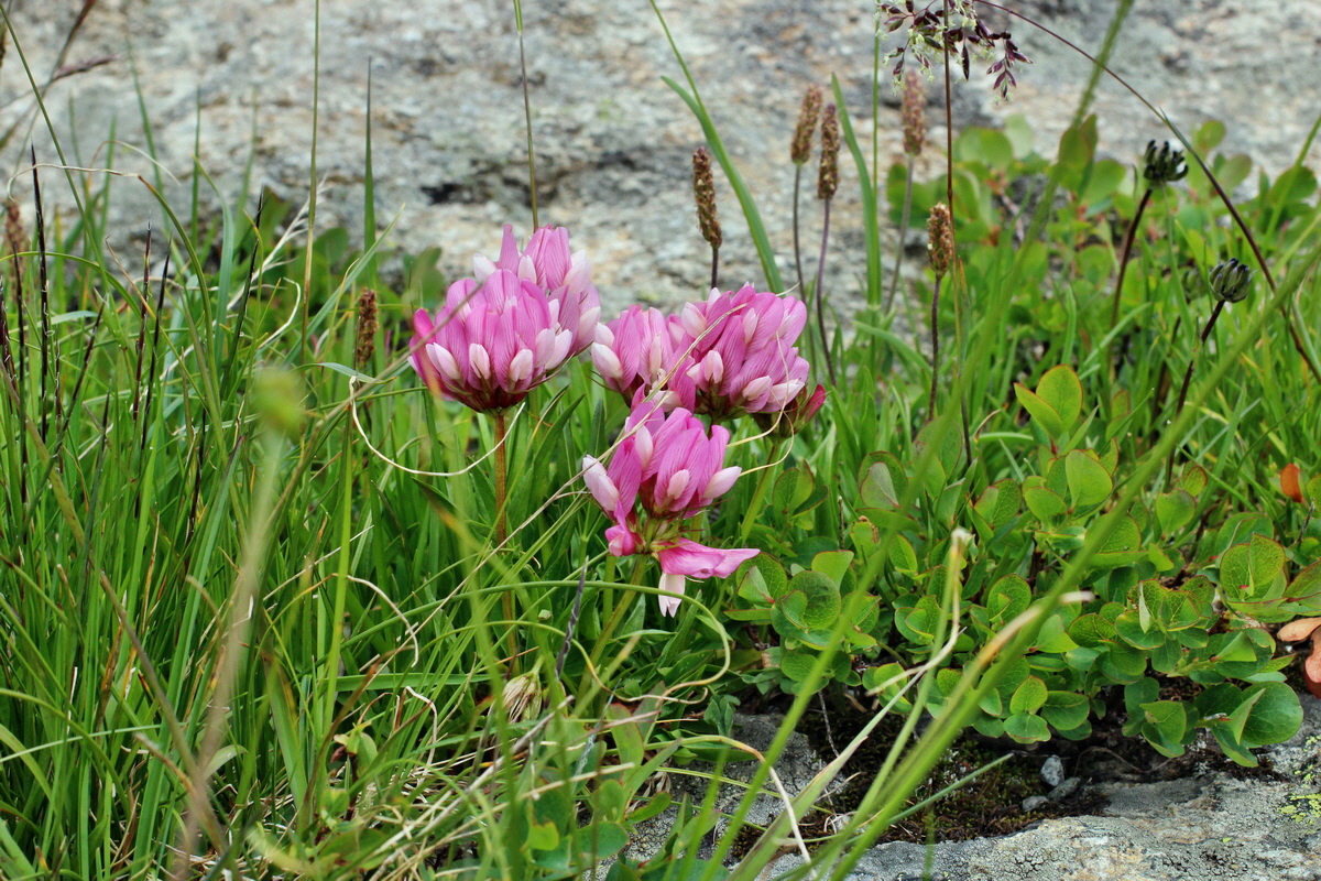 2014_07_23_00003777p_Bildgr��e �ndern