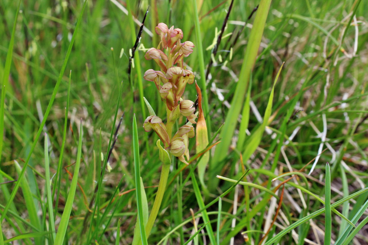 2014_07_23_00003782p_Bildgr��e �ndern