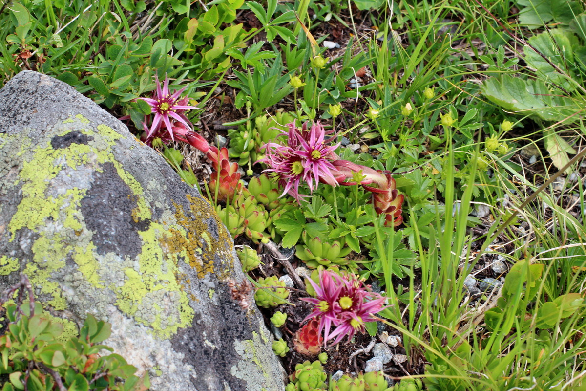 2014_07_23_00003787p_Bildgr��e �ndern