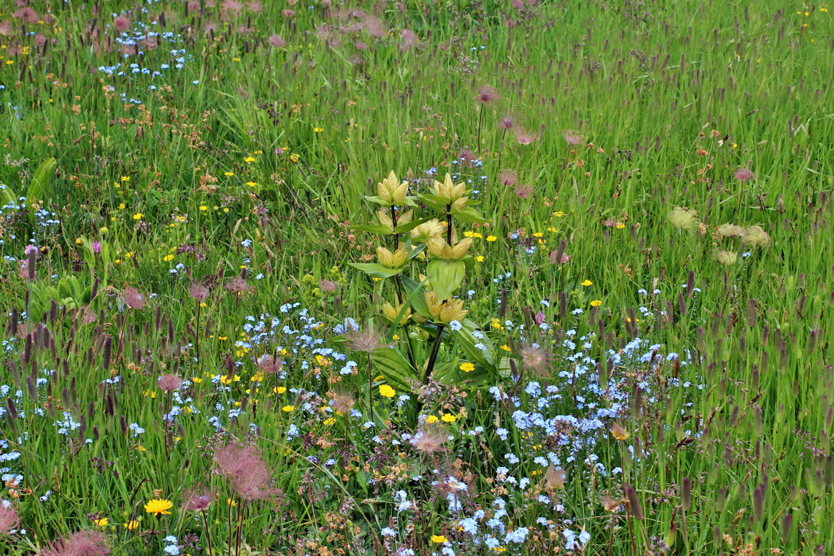 2014_07_23_00003790p_Bildgr��e �ndern