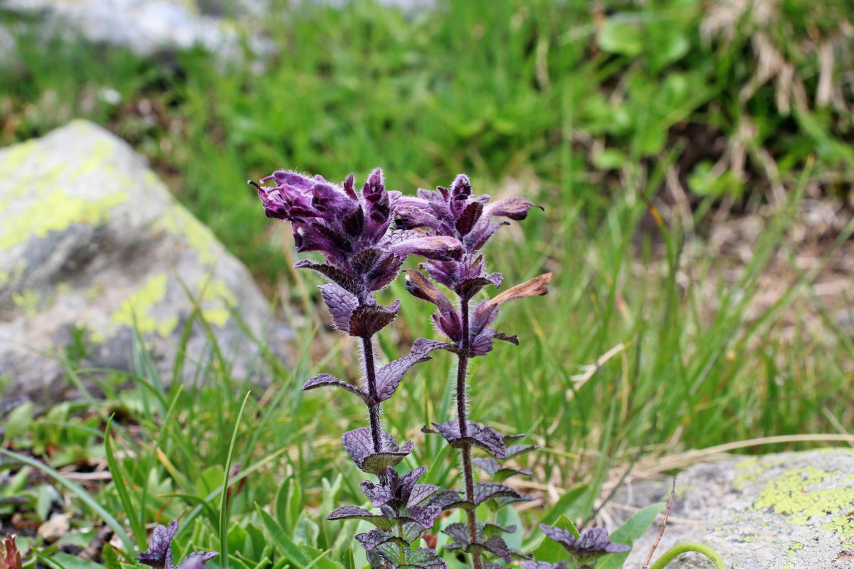 2014_07_23_00003791p_Bildgr��e �ndern