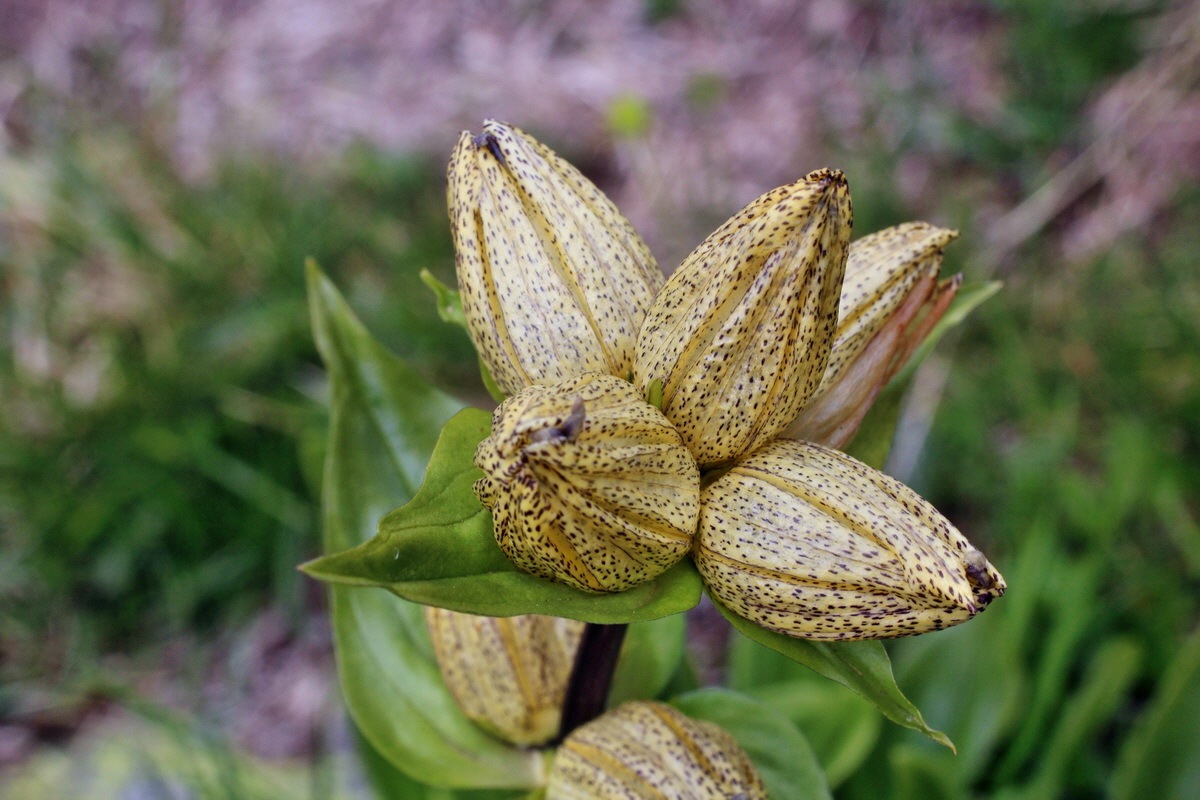 2014_07_23_00003795p_Bildgr��e �ndern