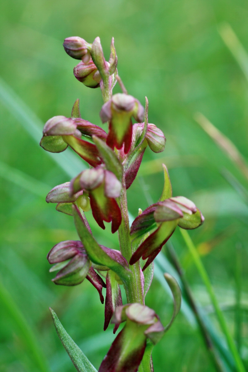 2014_07_23_00003804p_Bildgr��e �ndern