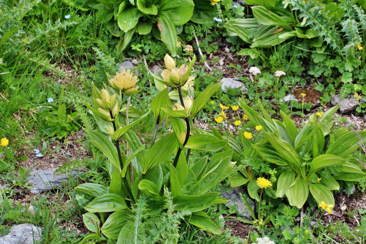 2014_07_23_00003807p_Bildgr��e �ndern