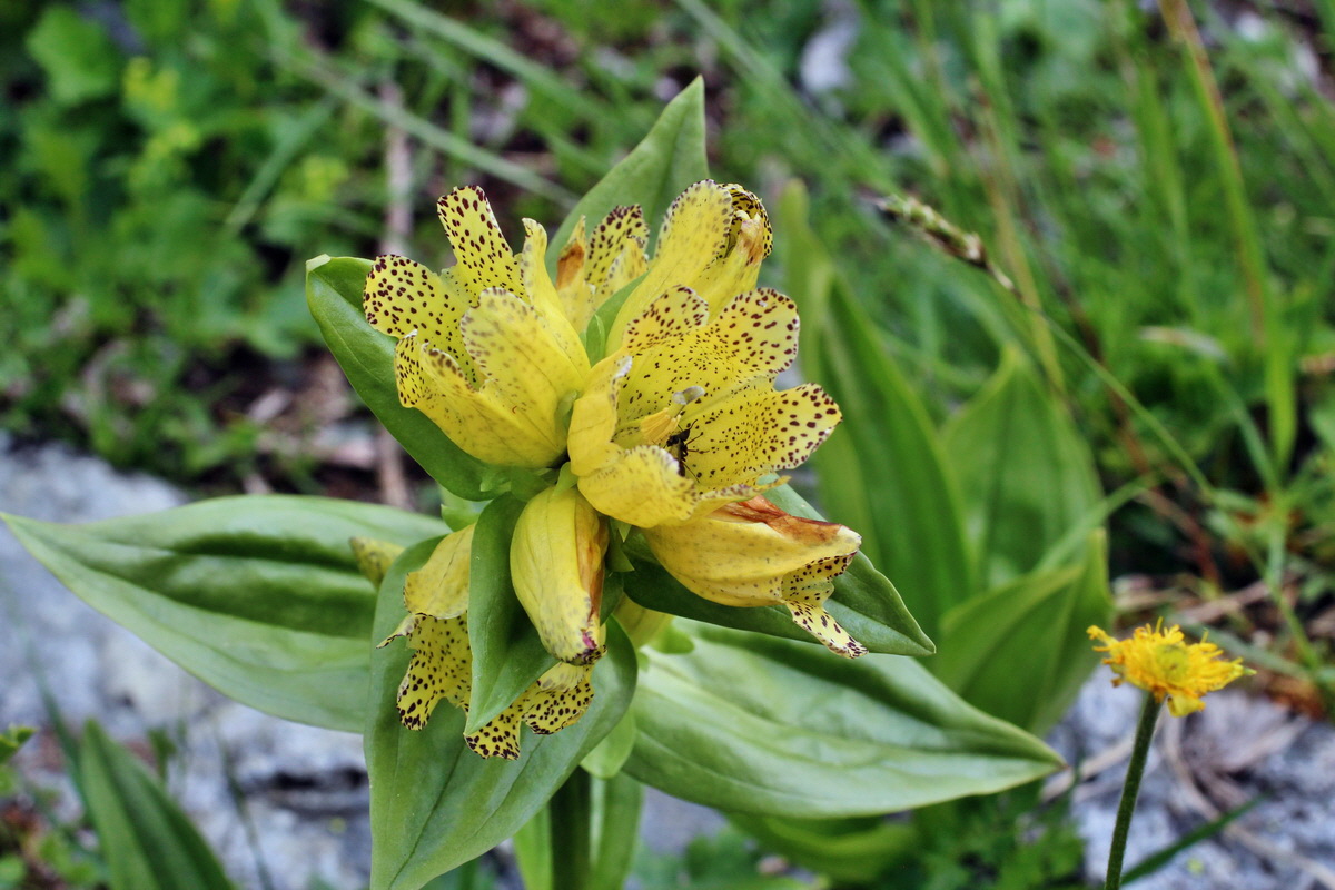 2014_07_23_00003812p_Bildgr��e �ndern