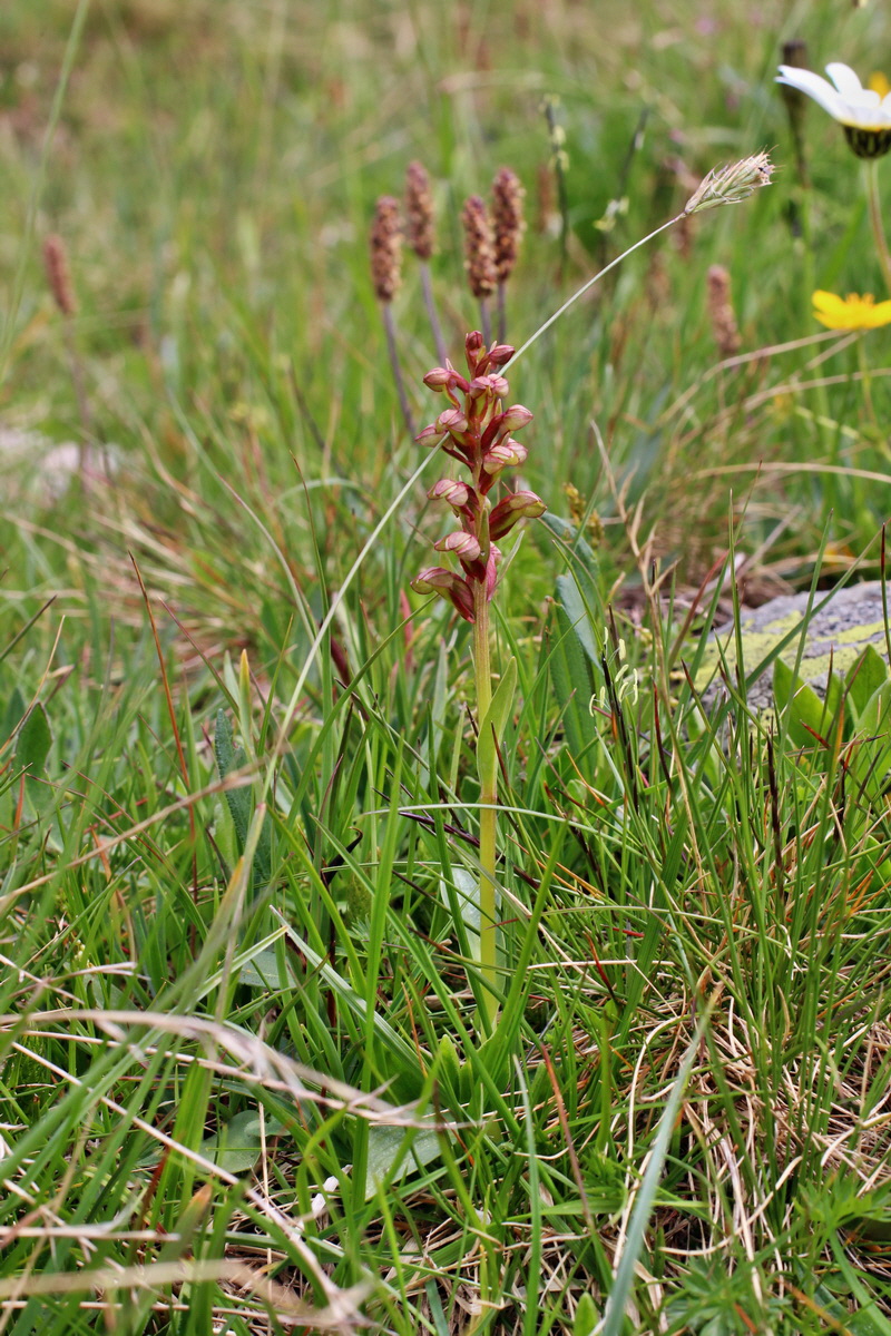 2014_07_23_00003821p_Bildgr��e �ndern