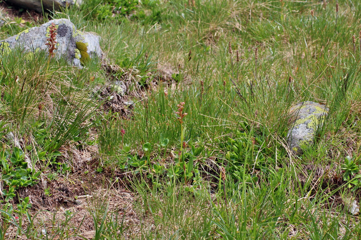 2014_07_23_00003824p_Bildgr��e �ndern