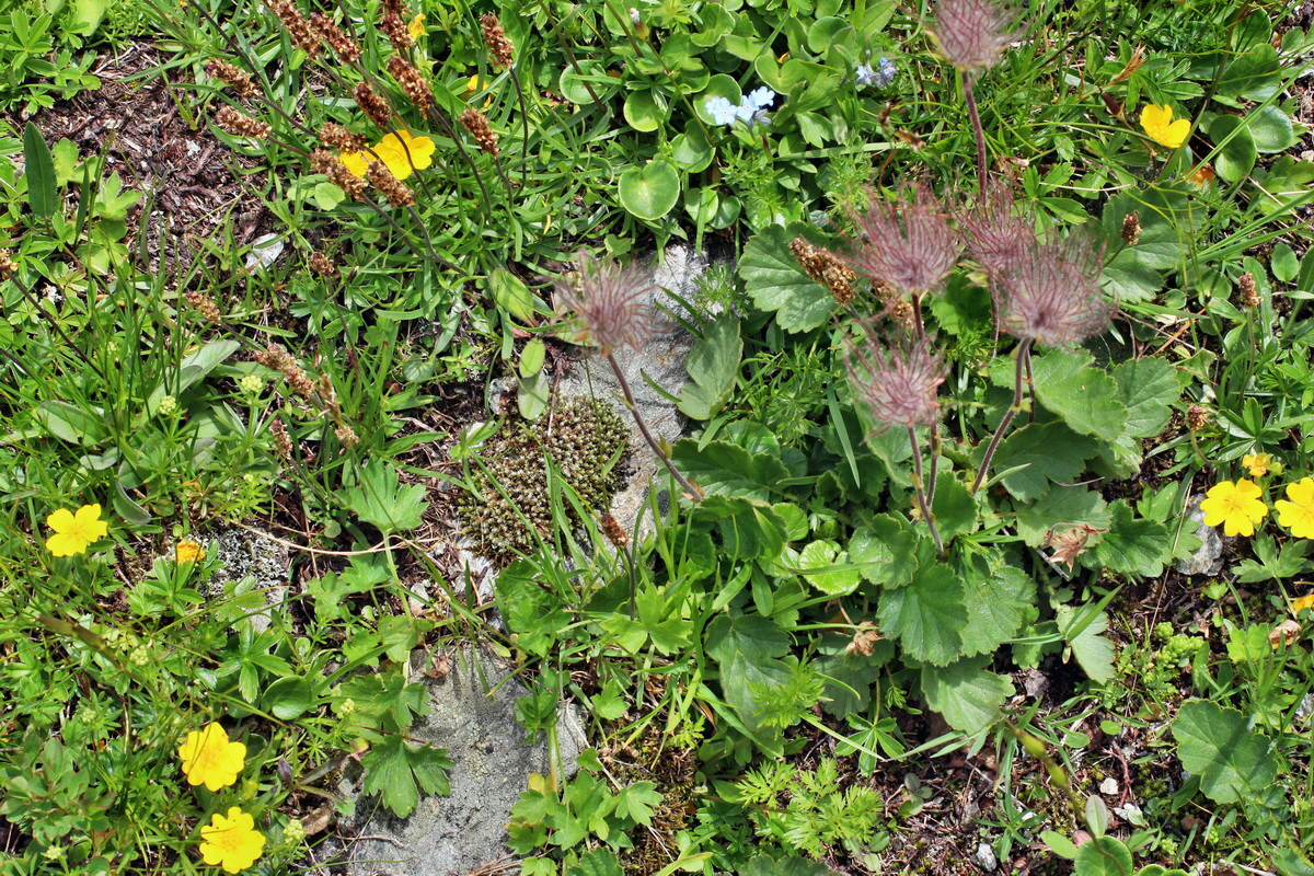 2014_07_23_00003827p_Bildgr��e �ndern