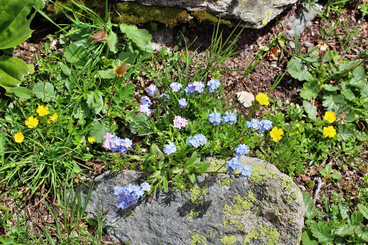 2014_07_23_00003830p_Bildgr��e �ndern