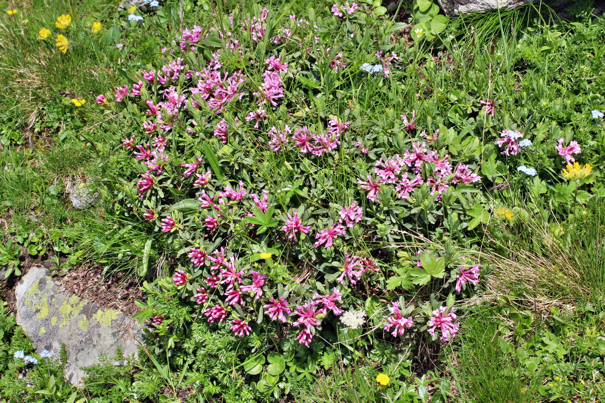 2014_07_23_00003833p_Bildgr��e �ndern