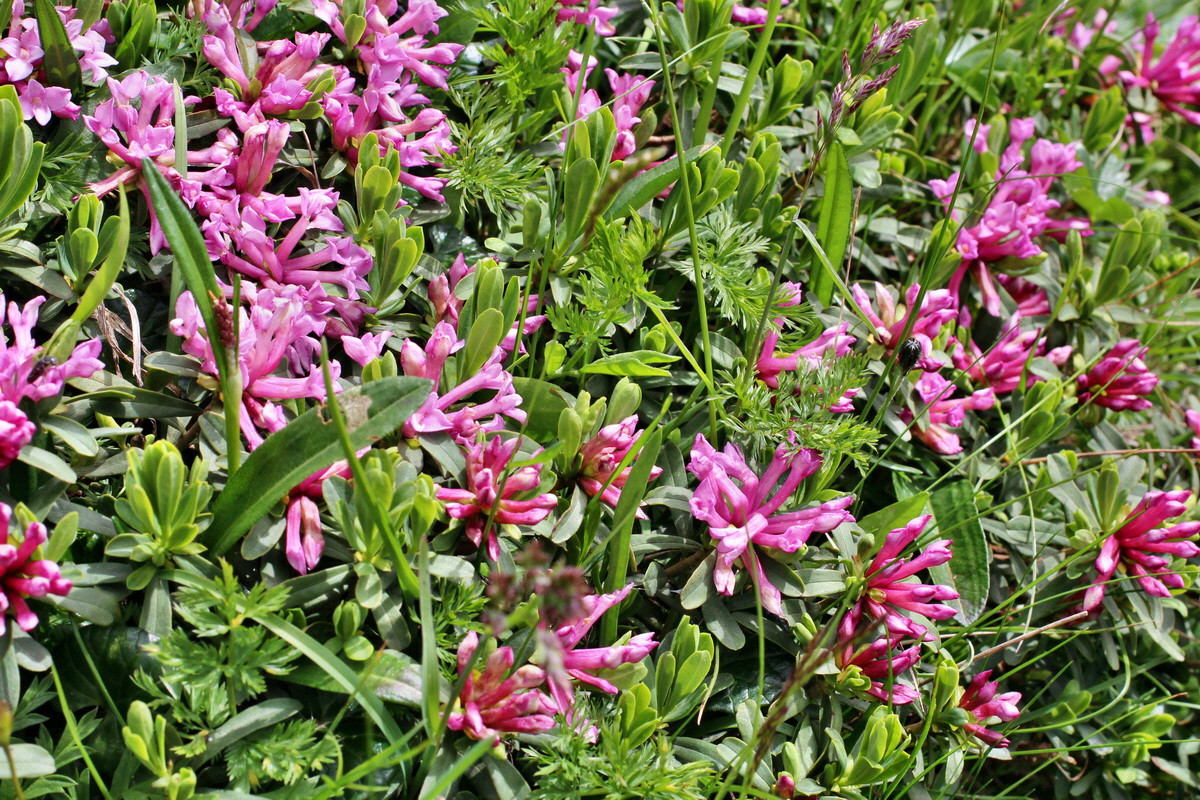 2014_07_23_00003837p_Bildgr��e �ndern