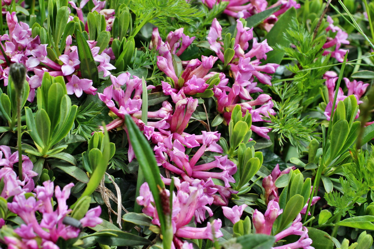 2014_07_23_00003839p_Bildgr��e �ndern