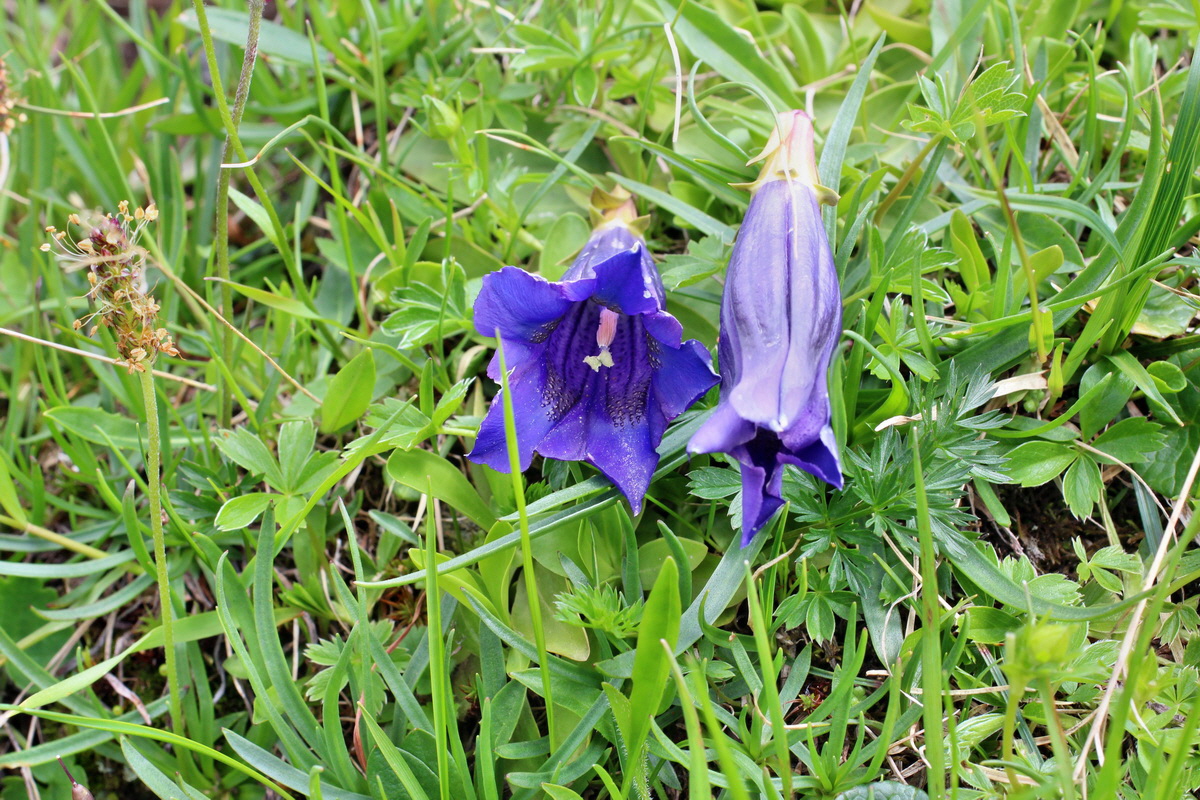 2014_07_23_00003844p_Bildgr��e �ndern