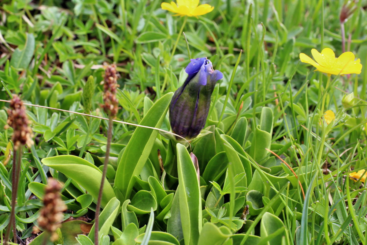 2014_07_23_00003848p_Bildgr��e �ndern