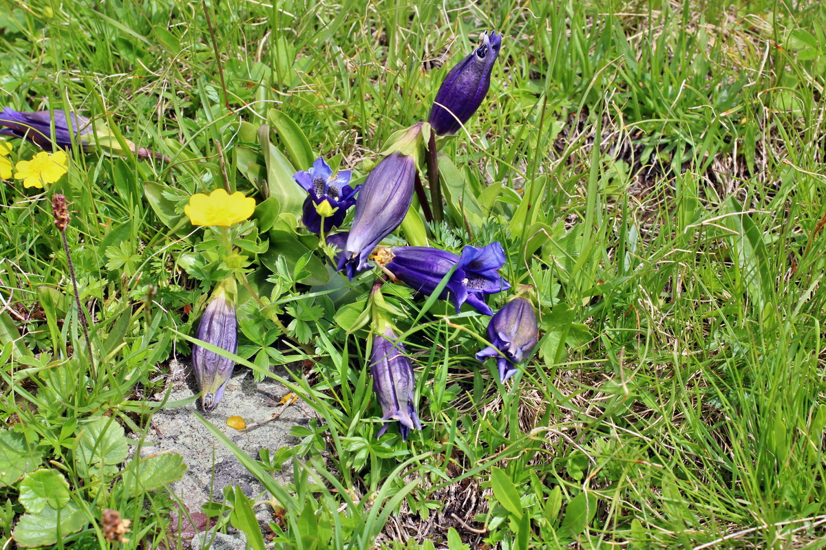 2014_07_23_00003850p_Bildgr��e �ndern