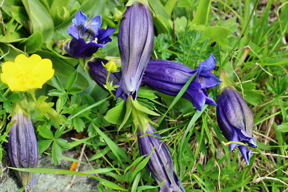 2014_07_23_00003853p_Bildgr��e �ndern