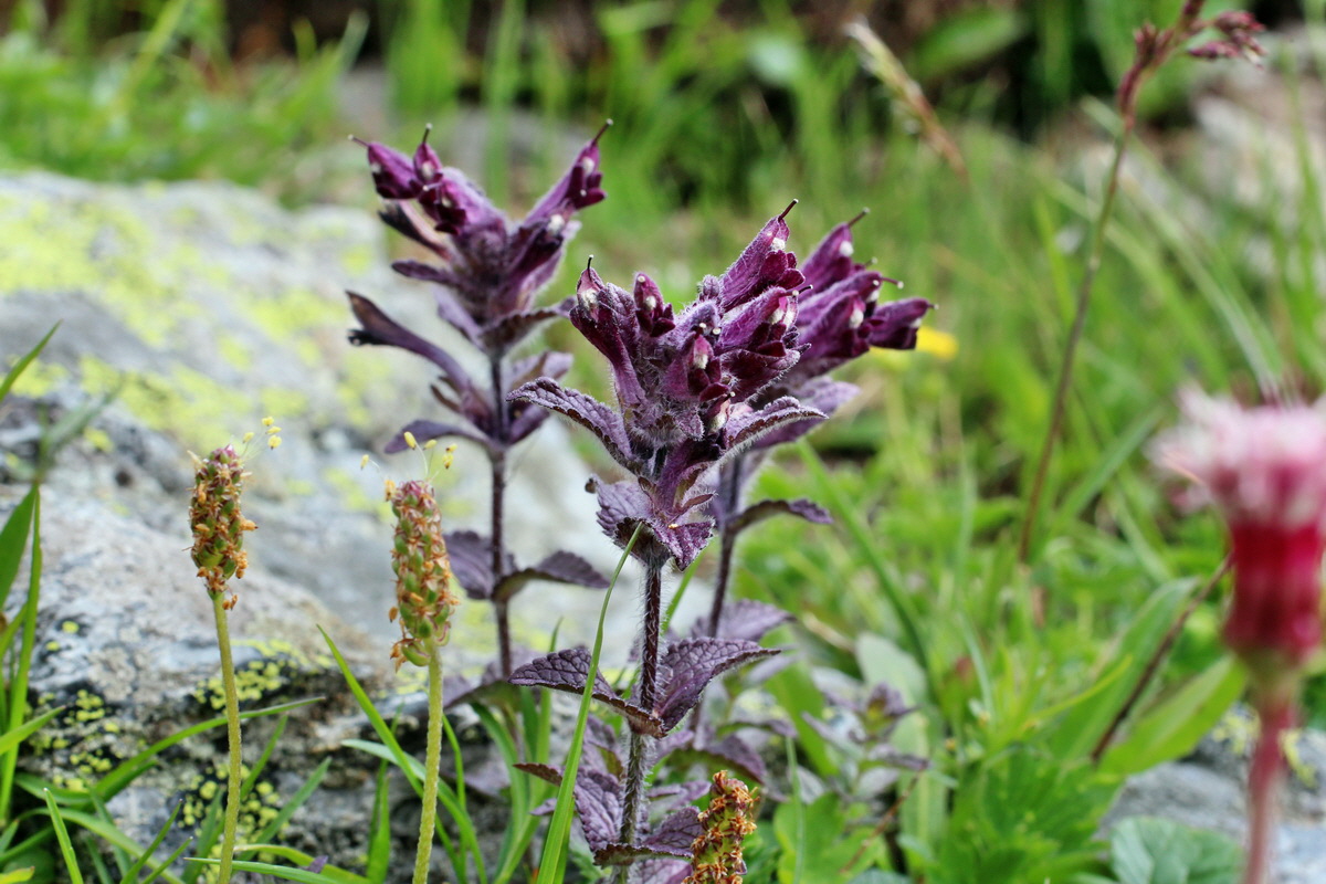 2014_07_23_00003861p_Bildgr��e �ndern