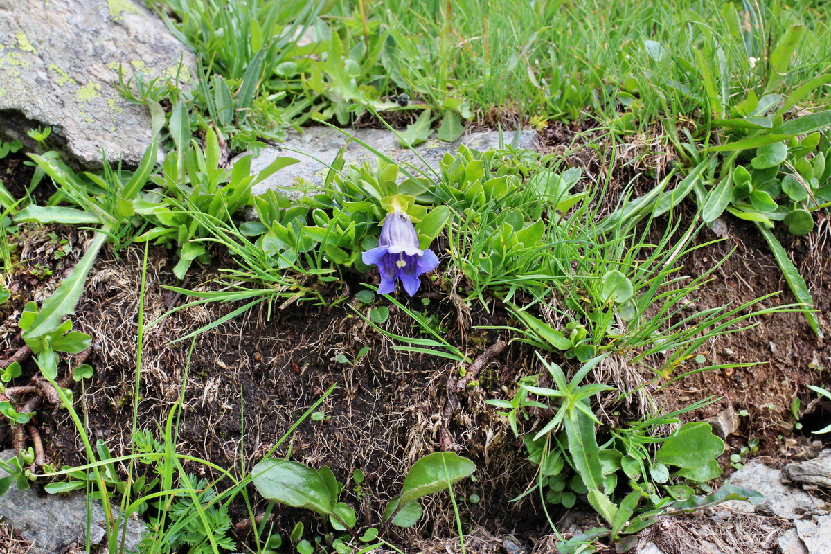 2014_07_23_00003863p_Bildgr��e �ndern