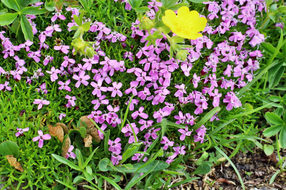 2014_07_23_00003866p_Bildgr��e �ndern