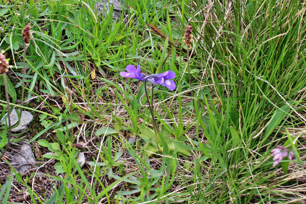 2014_07_23_00003871p_Bildgr��e �ndern