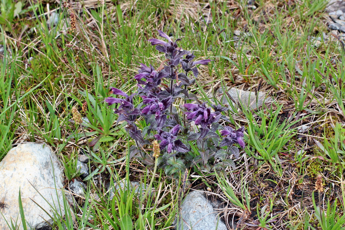 2014_07_23_00003873p_Bildgr��e �ndern