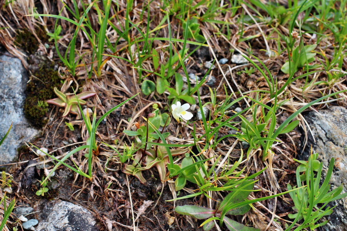 2014_07_23_00003877p_Bildgr��e �ndern