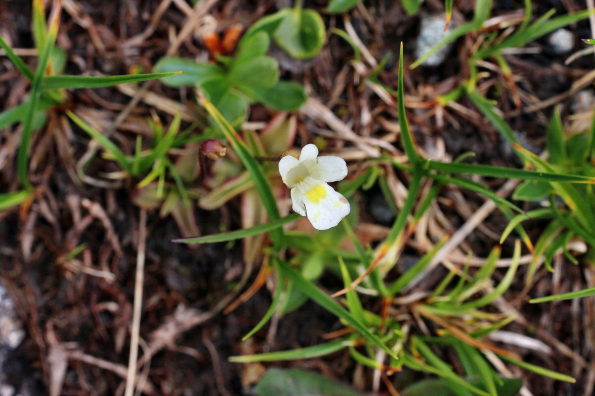 2014_07_23_00003879p_Bildgr��e �ndern