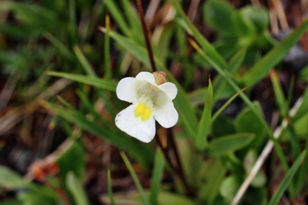 2014_07_23_00003880p_Bildgr��e �ndern