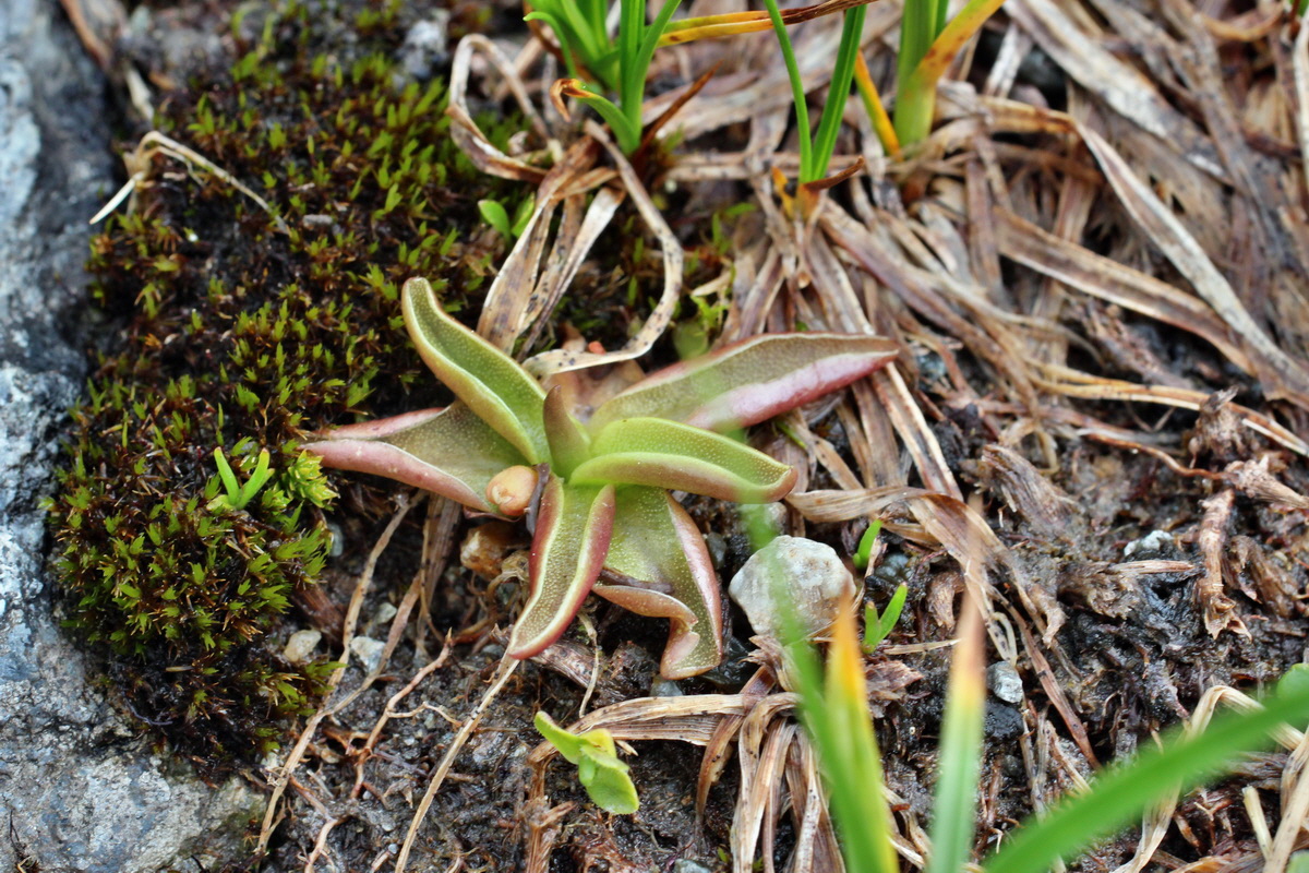 2014_07_23_00003887p_Bildgr��e �ndern