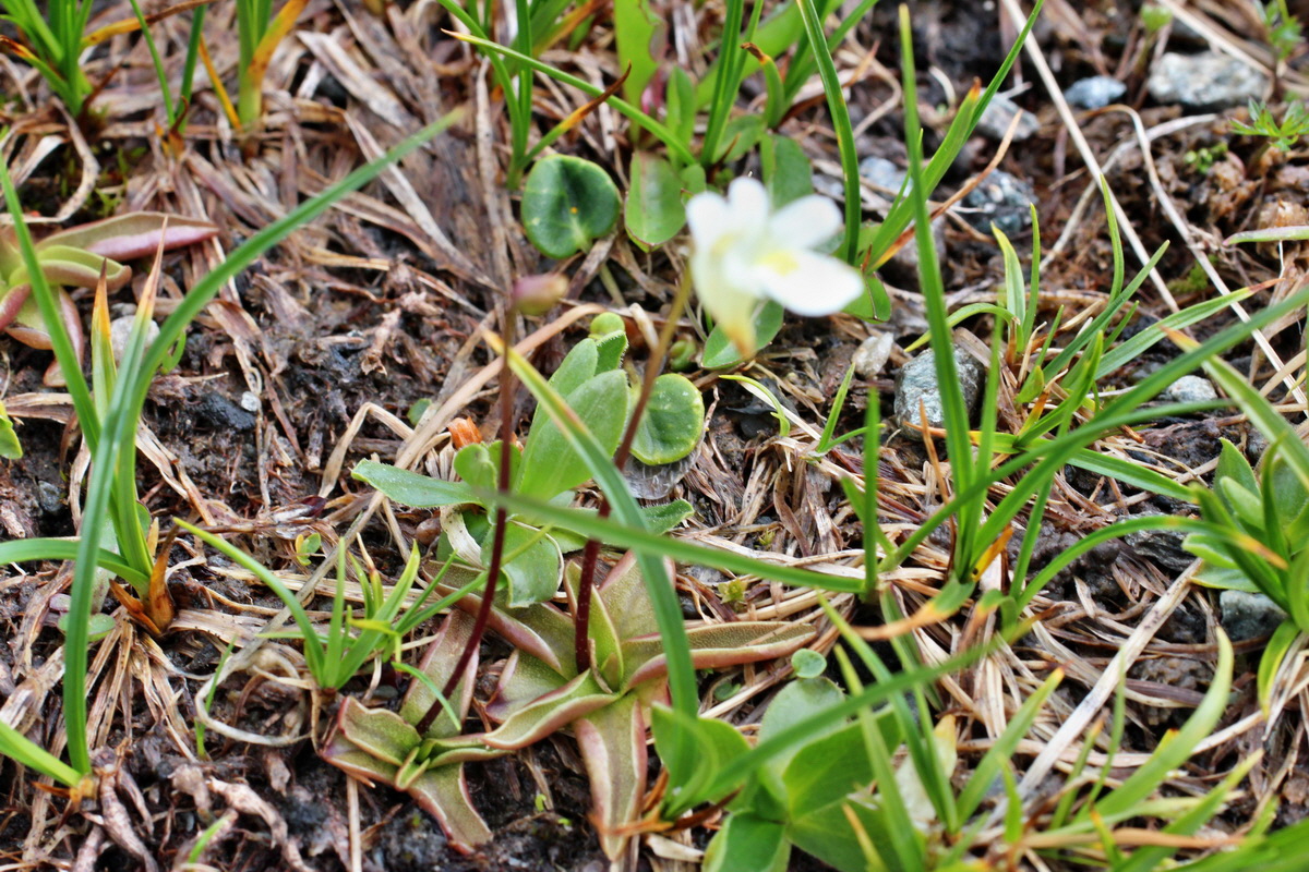 2014_07_23_00003890p_Bildgr��e �ndern