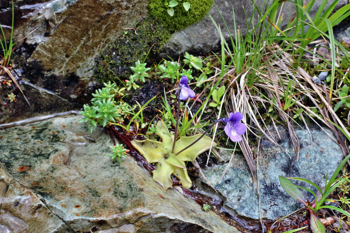 2014_07_23_00003895p_Bildgr��e �ndern