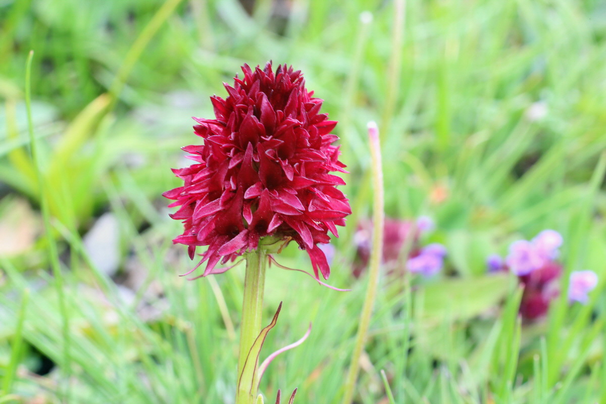 2014_07_23_00003898p_Bildgr��e �ndern