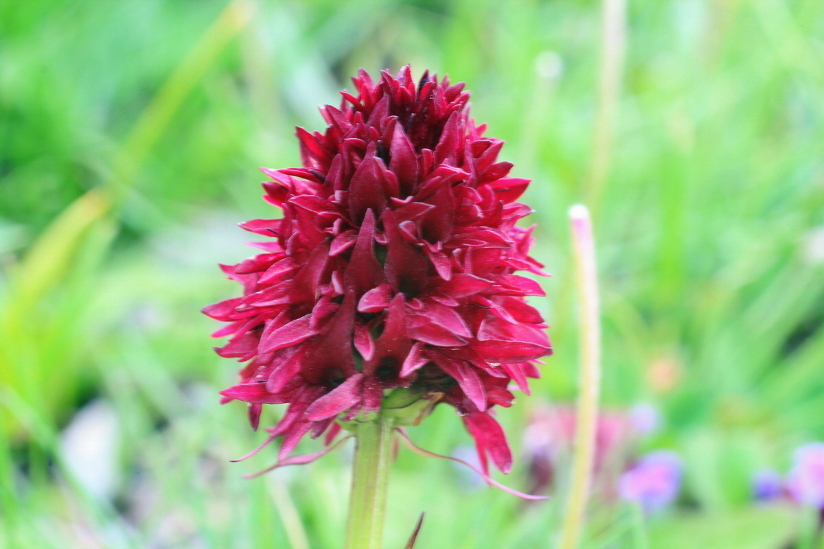 2014_07_23_00003900p_Bildgr��e �ndern