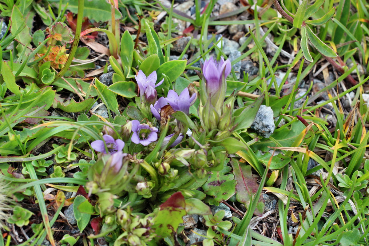 2014_07_23_00003904p_Bildgr��e �ndern