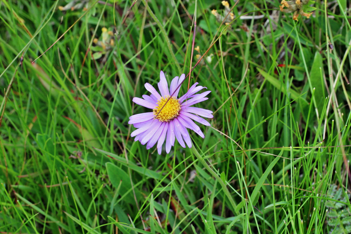 2014_07_23_00003908p_Bildgr��e �ndern