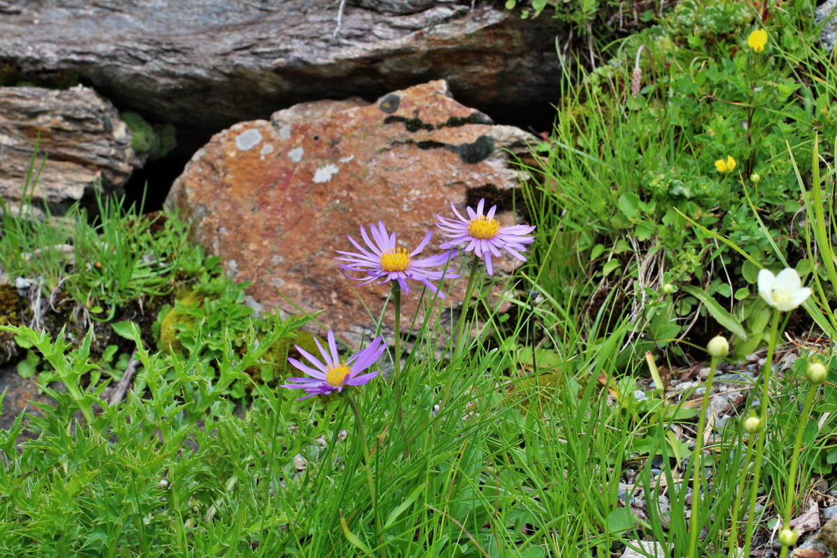 2014_07_23_00003911p_Bildgr��e �ndern