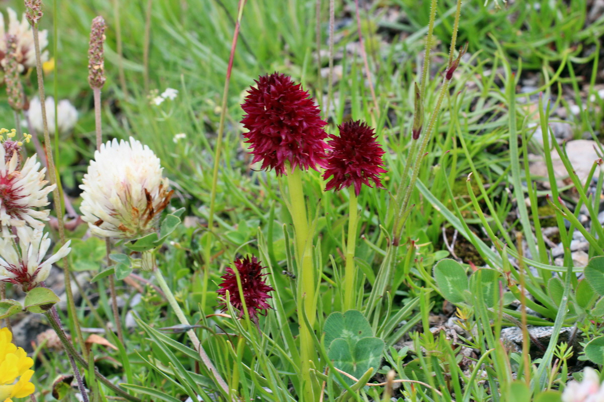 2014_07_23_00003915p_Bildgr��e �ndern