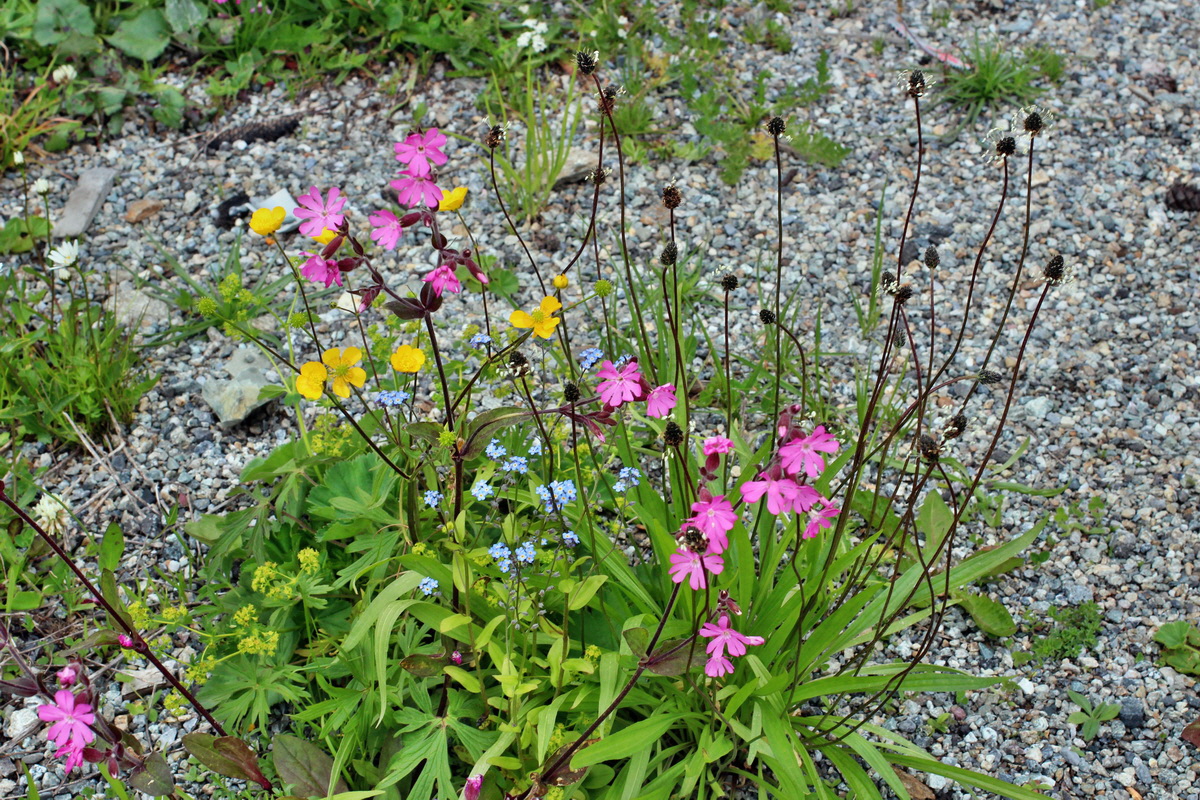 2014_07_23_00003922p_Bildgr��e �ndern