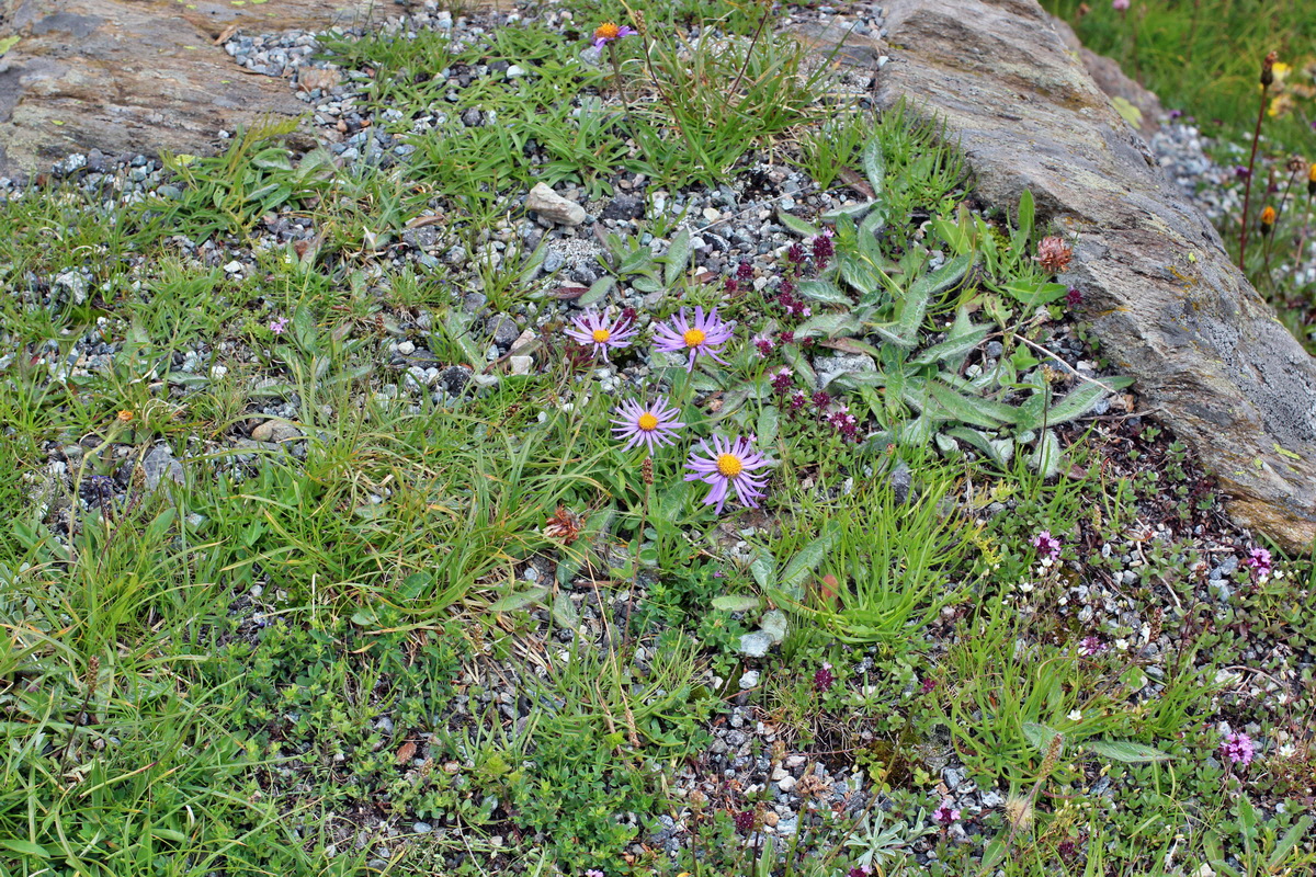 2014_07_23_00003925p_Bildgr��e �ndern