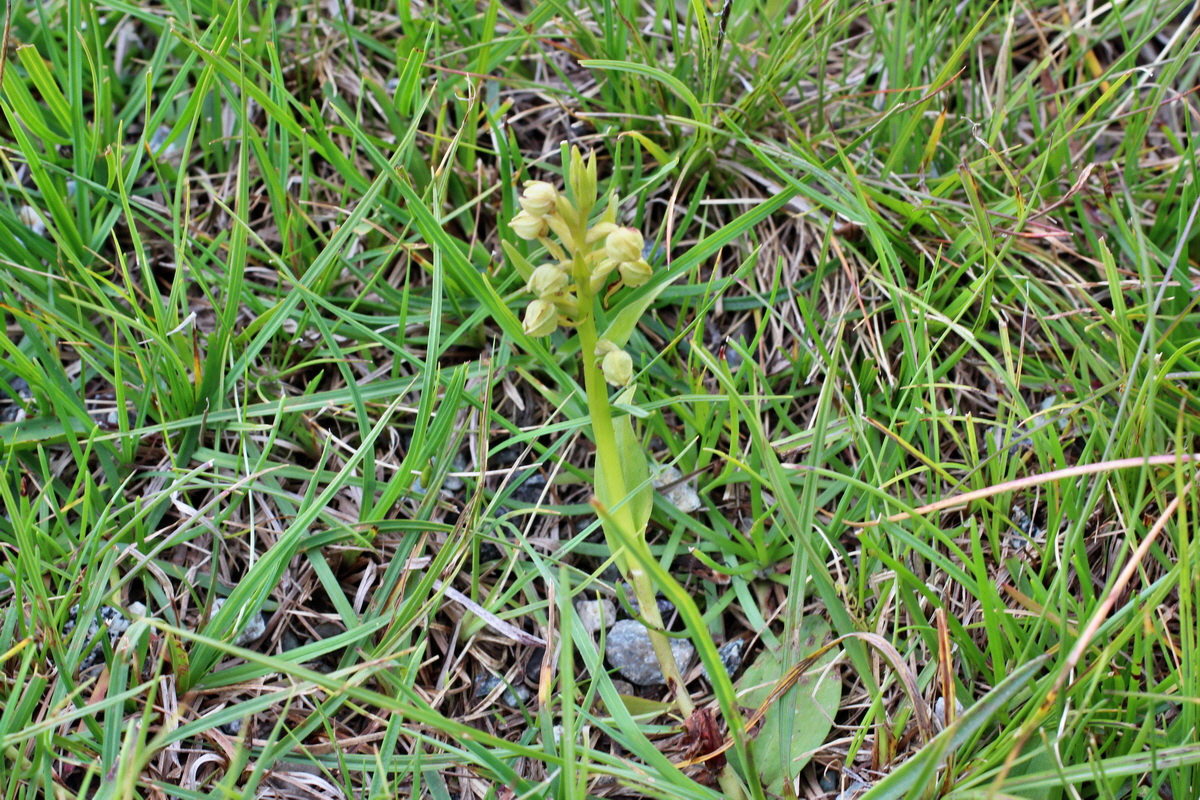 2014_07_23_00003927p_Bildgr��e �ndern