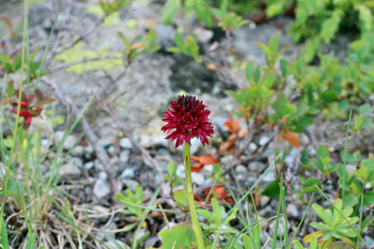 2014_07_23_00003931p_Bildgr��e �ndern