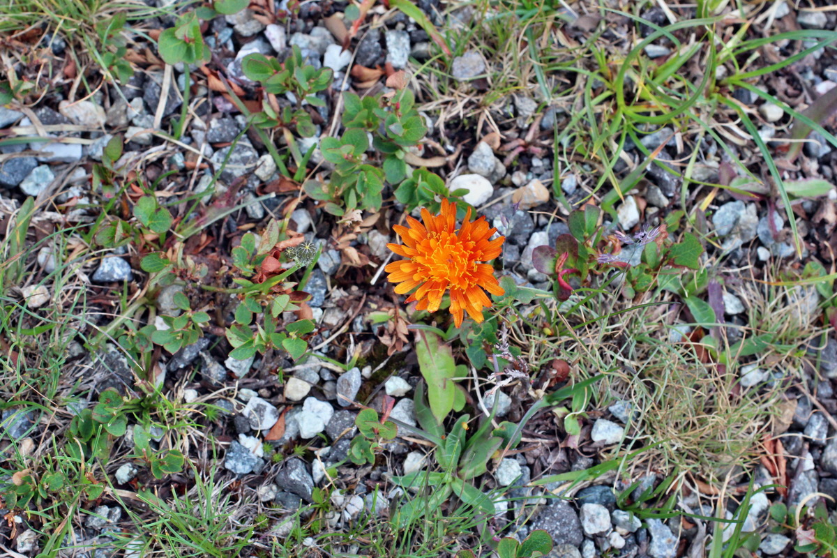 2014_07_23_00003950p_Bildgr��e �ndern