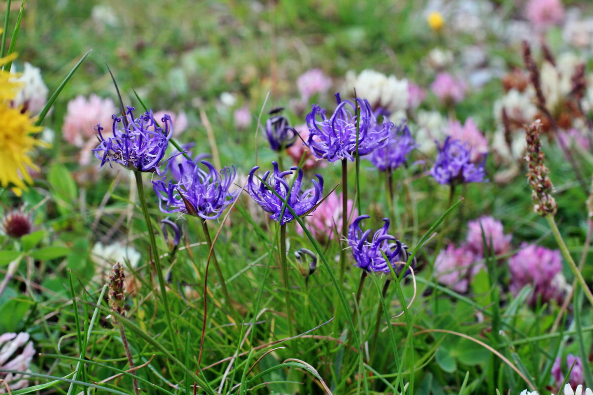 2014_07_23_00003954p_Bildgr��e �ndern